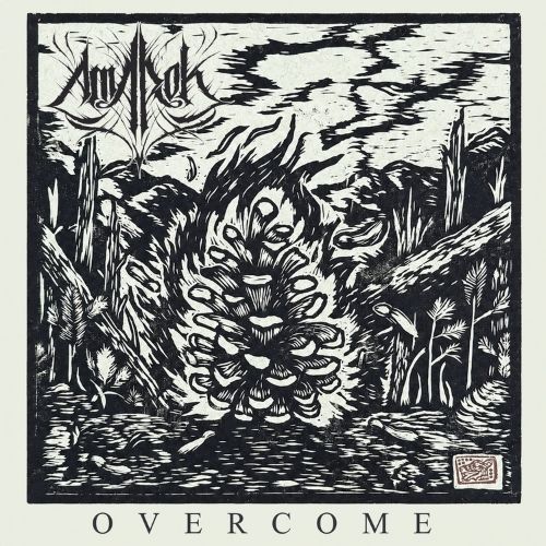 AMAROK - Overcome