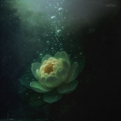 SIDUS – Lotus
