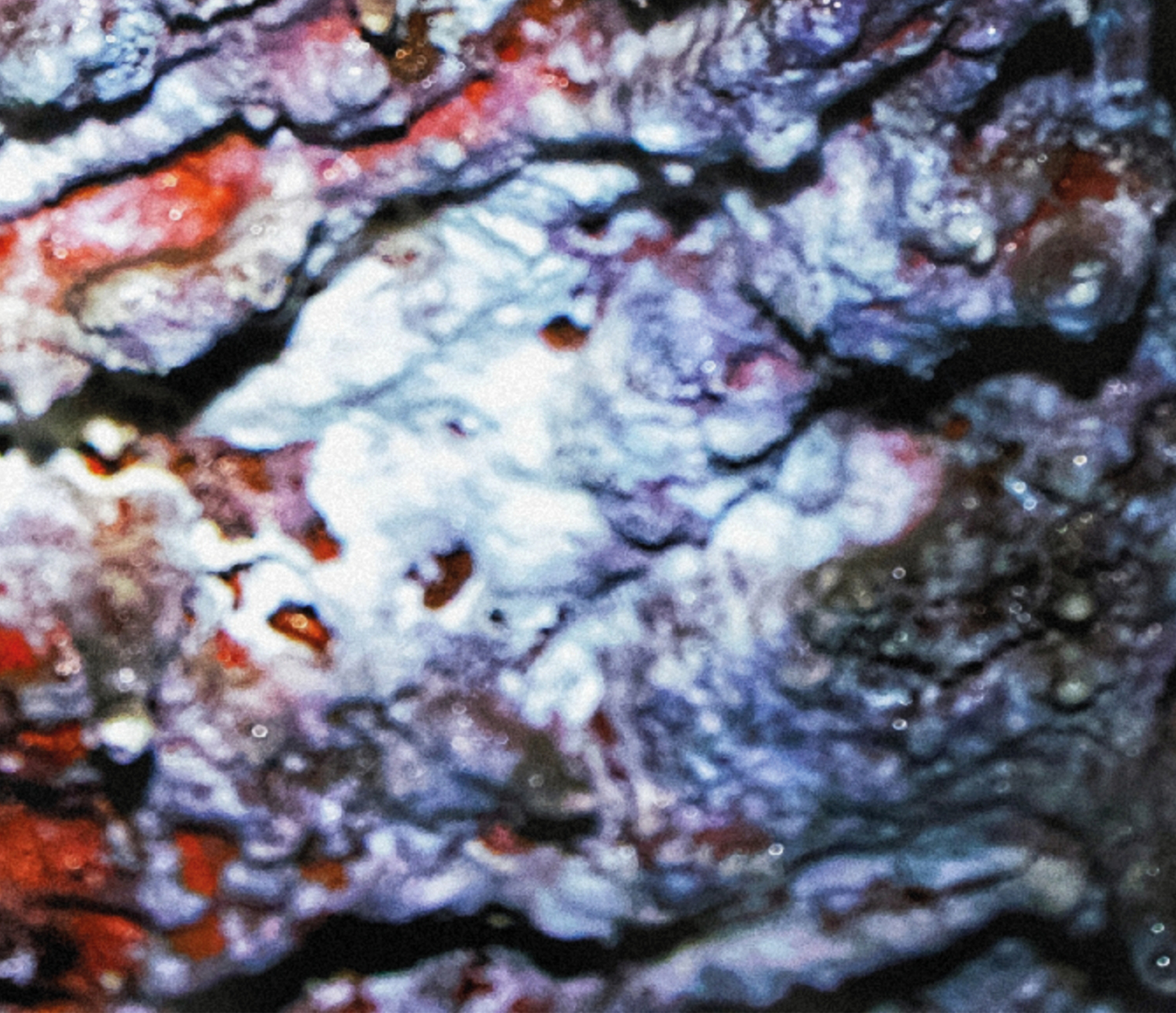 Inline image